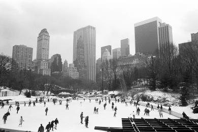 Main image of the artwork Central Park, NYC, 1994