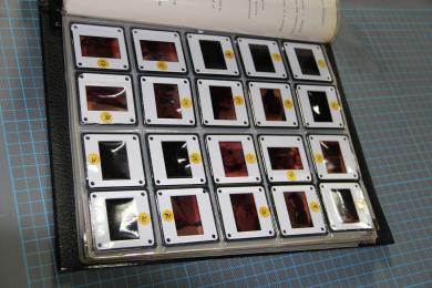 Main image of the artwork 80 diapositivas y textos