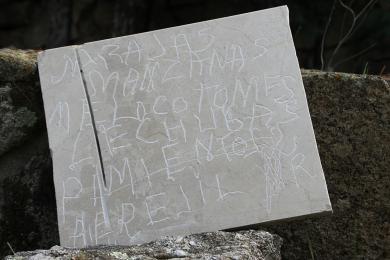 Main image of the artwork Lapidario vegetal