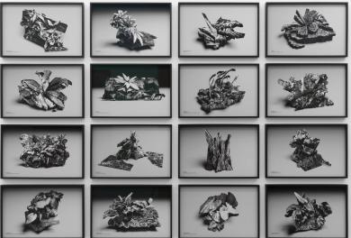 Main image of the artwork A fleeting moment of dissidence becomes fossilised and lifeless after the moment has passed.