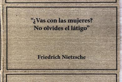 Main image of the artwork Felpudos