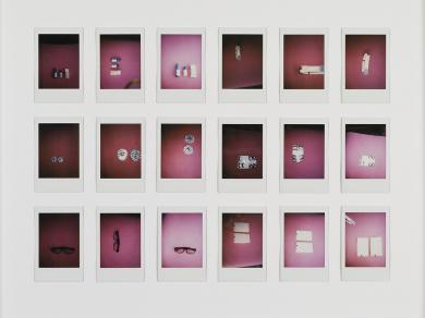 Main image of the artwork Deleción. Serie Polaroids