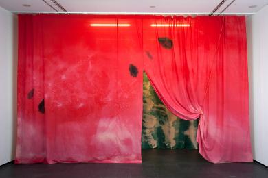 Main image of the artwork Yo hago algo rojo chile