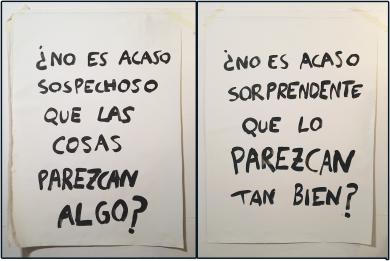 Main image of the artwork ¿No es acaso sospechoso que las cosas parezcan algo? ¿No es acaso sorprendente que lo parezcan tan bien?