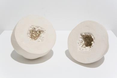 Main image of the artwork Carica papaya