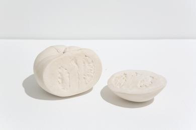 Main image of the artwork Solanum Lycopersicum