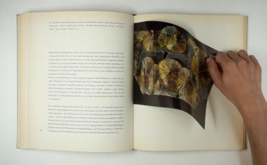 Main image of the artwork The Weight (El peso)