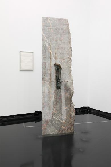 Main image of the artwork To intrude on Nature´s way