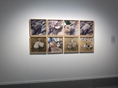 Main image of the artwork Restauració de dues pedres al Port del Compte