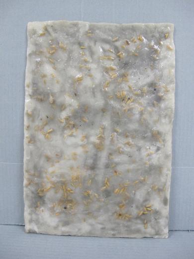 Main image of the artwork Sin título