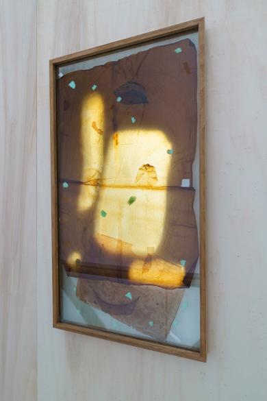 Main image of the artwork Kombucha skiwm