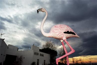 Main image of the artwork Cigonya