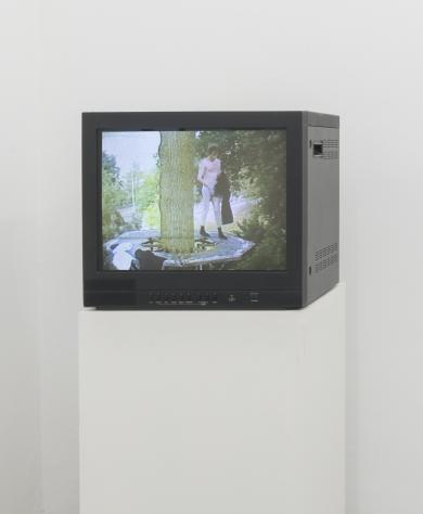 Main image of the artwork Vídeo de la acción "El Nido"