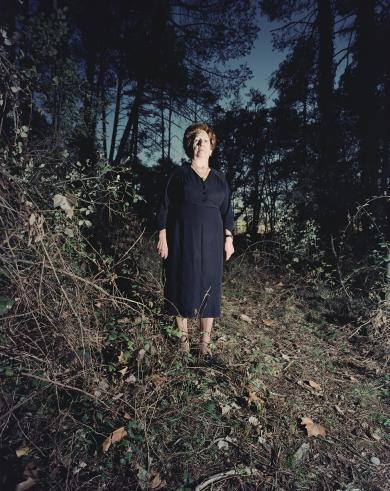 Main image of the artwork Florentina