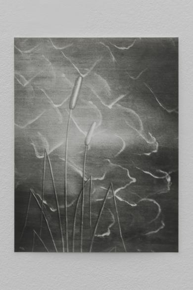 Main image of the artwork Untitled (Botticeli III)