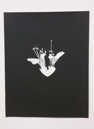 Main image of the artwork Untitled (Venus Gondola)