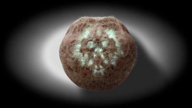 Main image of the artwork El fuego de la visión (María)