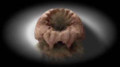 Main image of the artwork El fuego de la visión (Rocío)